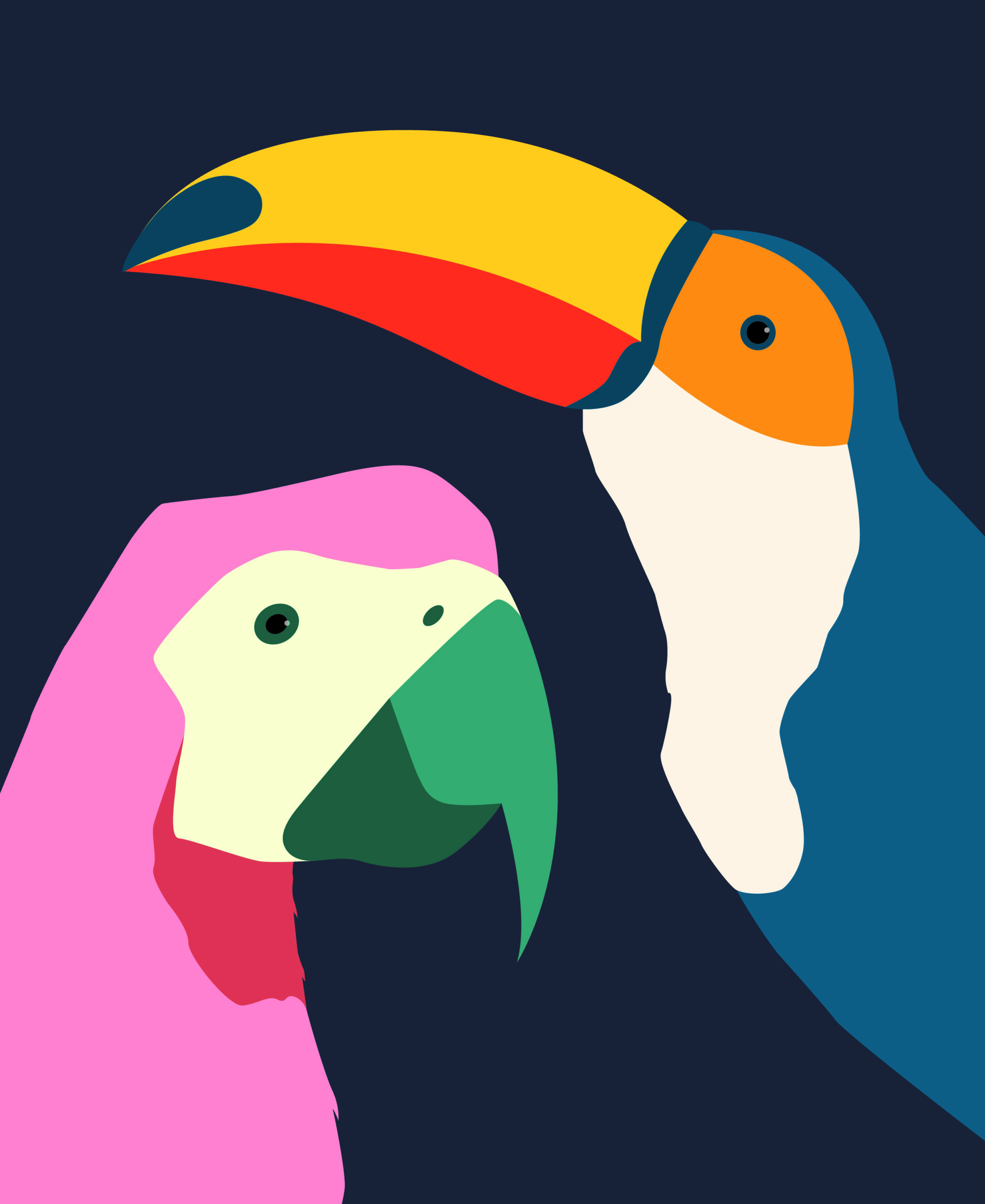 Digital art of a toucan head on the right and a parrot head on the left