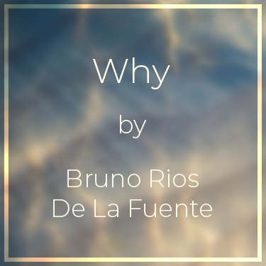 Why by Bruno Rios De La Fuente